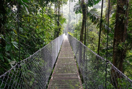 Le Costa Rica, Grandeur nature