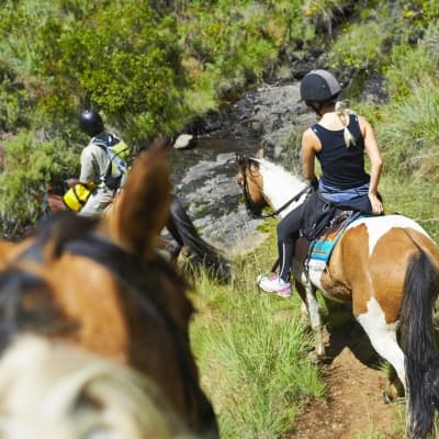 Balade à Cheval à Turrialba