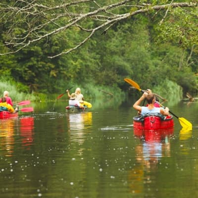 Canoë sur la rivière Macal