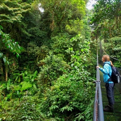 Exploration de nuit à Monteverde