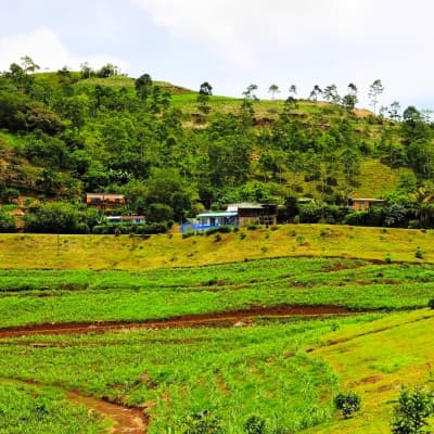 Immersion dans une finca traditionnelle