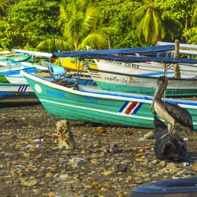 Tour en pirogue et rencontre avec les indiens de Yorkin