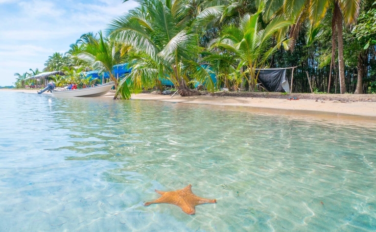 Bocas del Toro : plages paradisiaques, snorkeling et communautés indigènes 