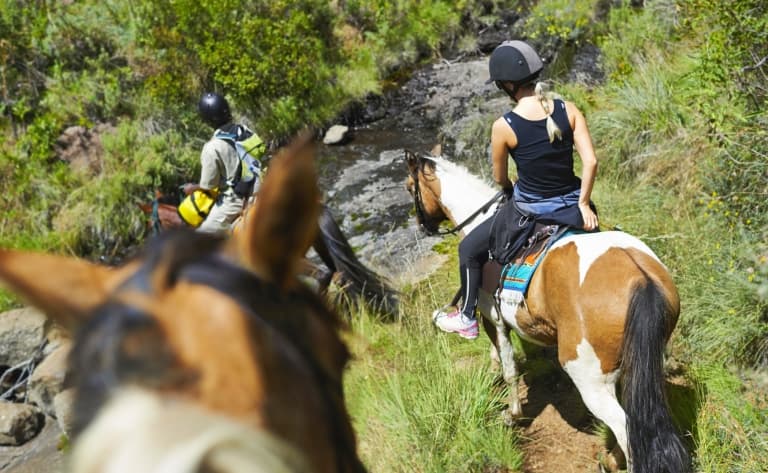 Balade à Cheval à Turrialba
