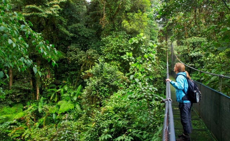 Exploration de nuit à Monteverde