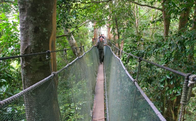 Ponts supendus d'Arenal