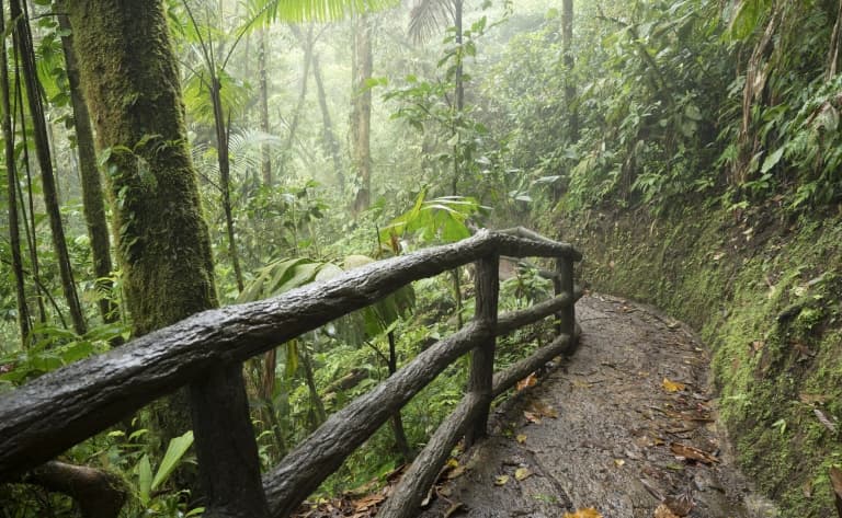 Vers le majestueux volcan de Rincon de la Vieja…